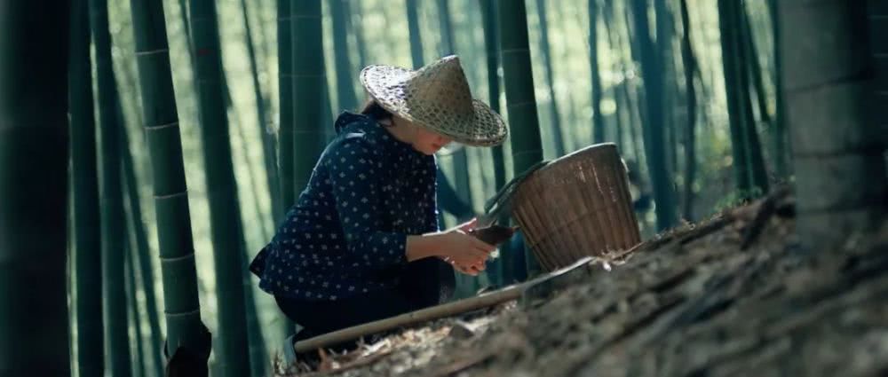 進(jìn)博會(huì)宣傳片